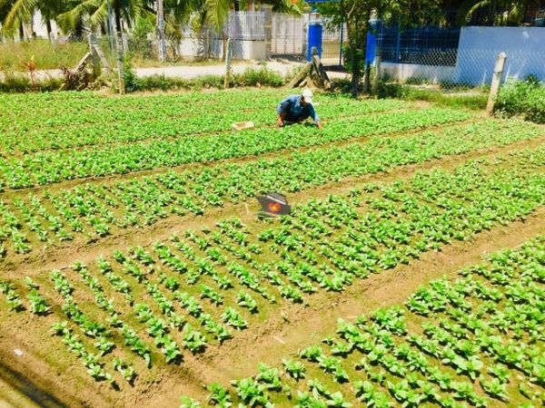 Private Solo Tour 4 Days in Nha Trang